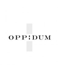 Oppidum